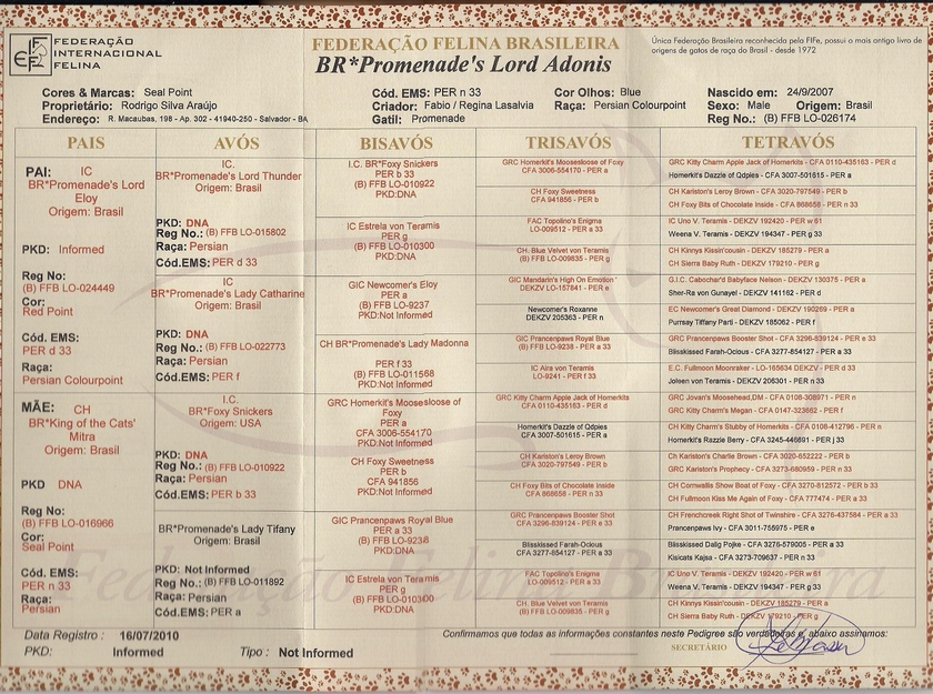 Persa - Promenade's Lord Adonis - Pedigree