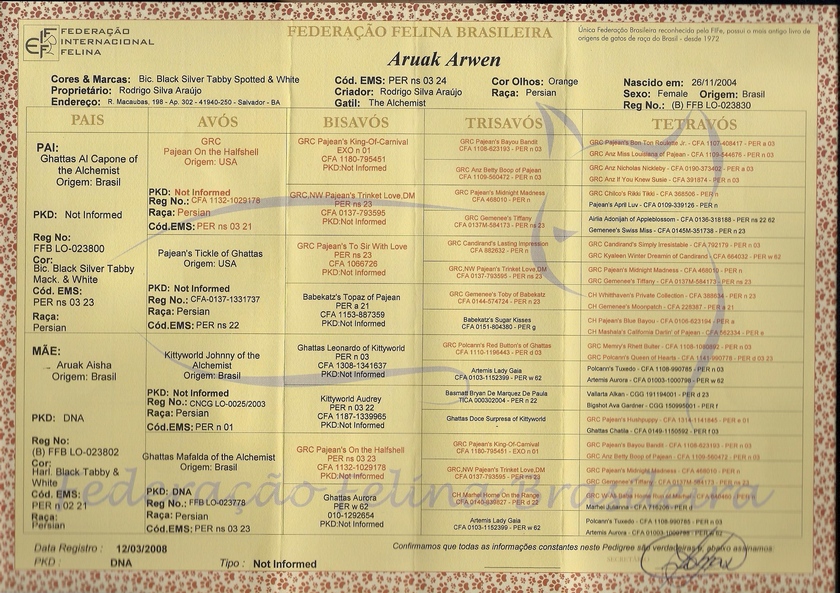 Persa - Aruak Arwen - Pedigree