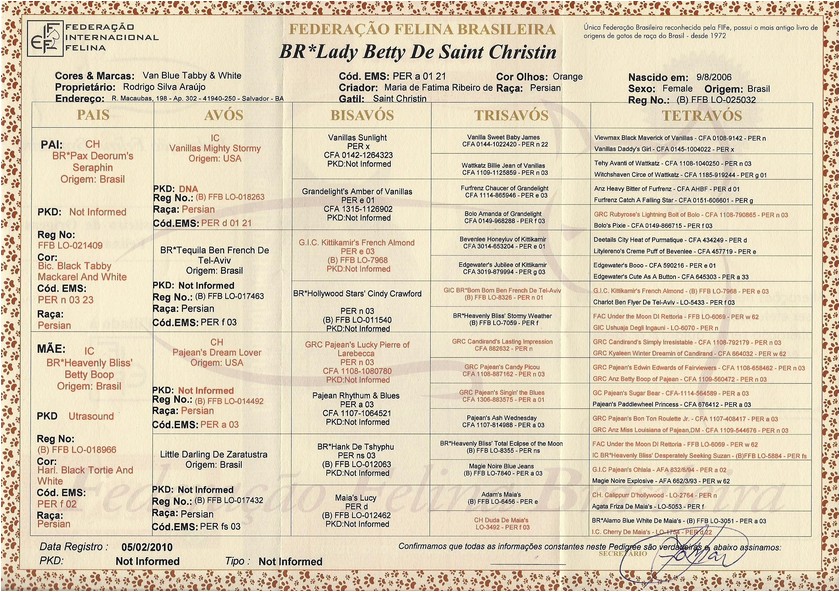 Persa - Lady Betty De Saint Christin - Pedigree