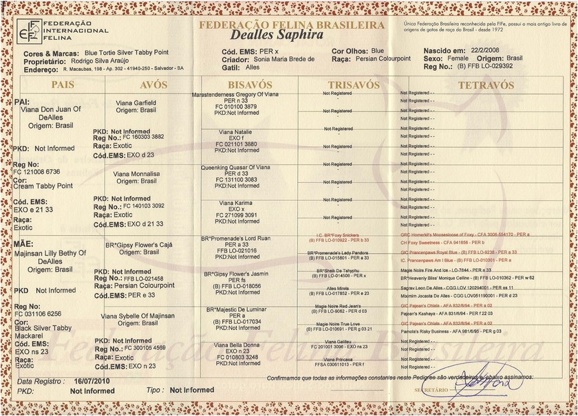 Persa - Dealles Saphira - Pedigree