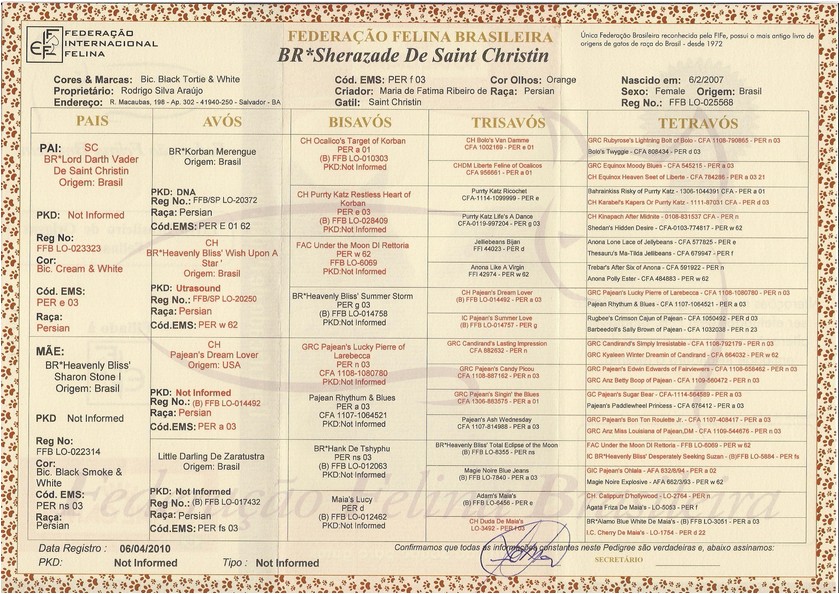 Persa - Sherazade De Saint Christin - Pedigree
