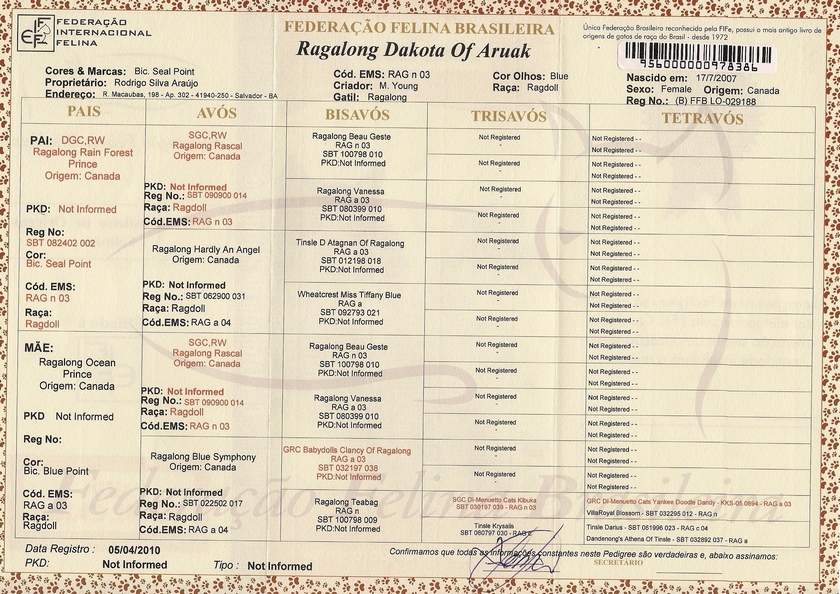 Ragdoll - Ragalong Dakota - Pedigree