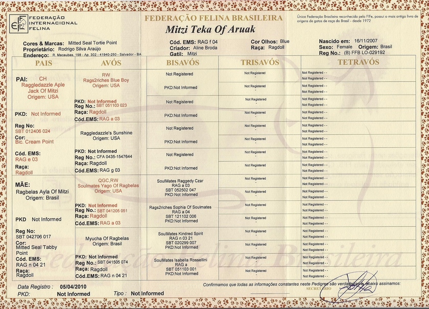 Ragdoll - Mitzi Teka - Pedigree