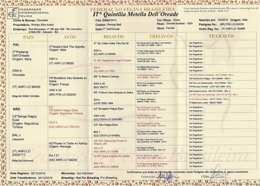 Siames - Quintilia Metella Del'oreade - Pedigree