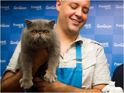 Persa - ES* Principe Yoda De Sierra Segura - Foto 05