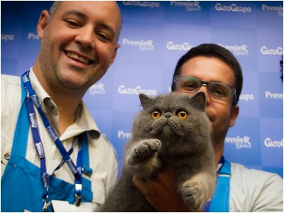 Persa - ES* Principe Yoda De Sierra Segura - Foto 08